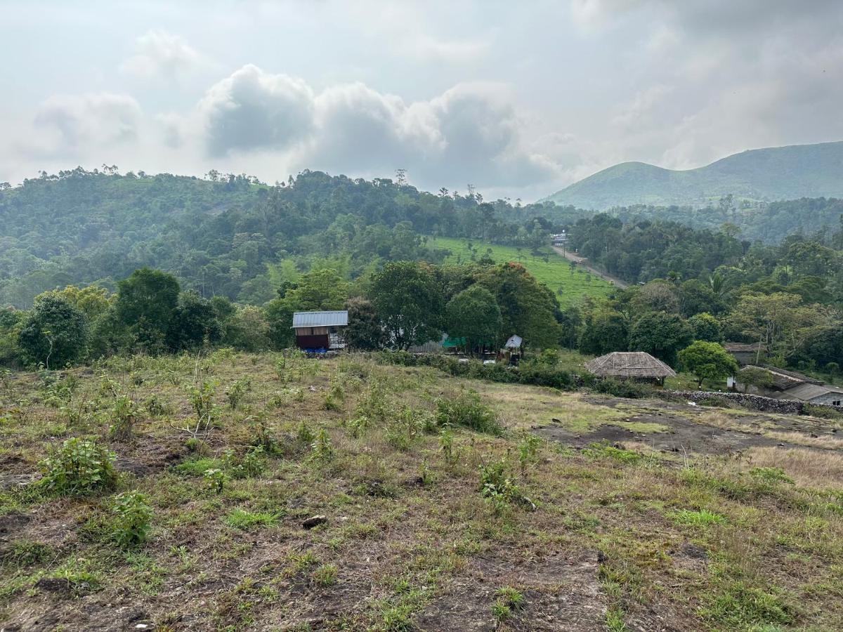 Spathodea Vagamon Buitenkant foto