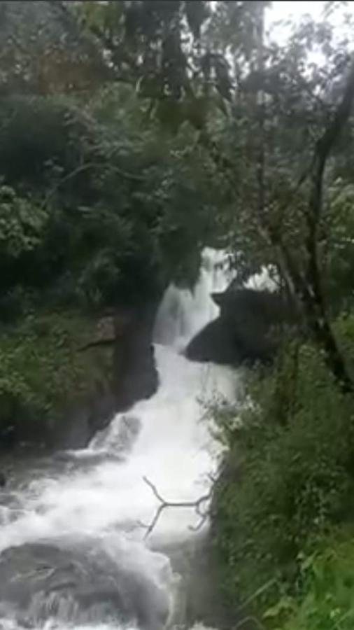 Spathodea Vagamon Buitenkant foto
