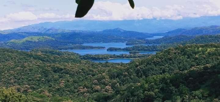 Spathodea Vagamon Buitenkant foto