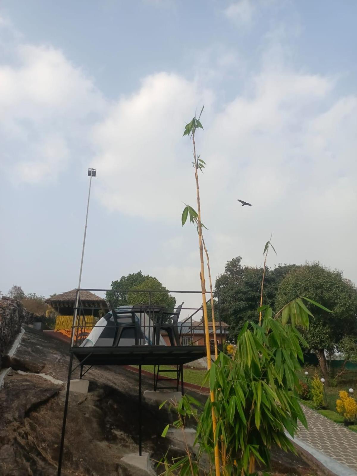 Spathodea Vagamon Buitenkant foto
